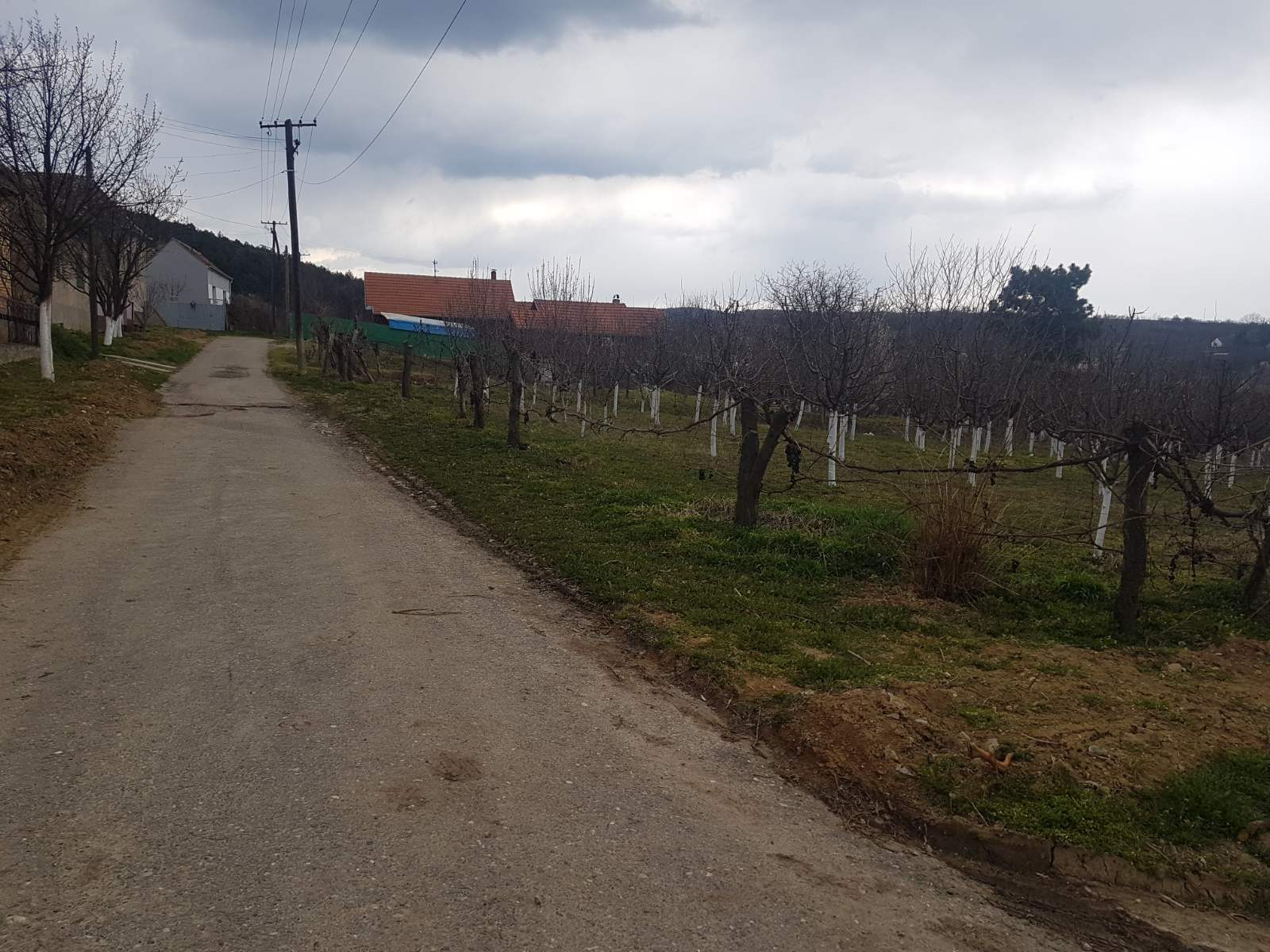 Plac na prodaju Lezimir 4