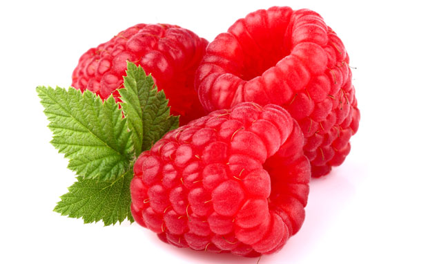 Prodajem zasad malina na 46ari Dec Simanovci 1