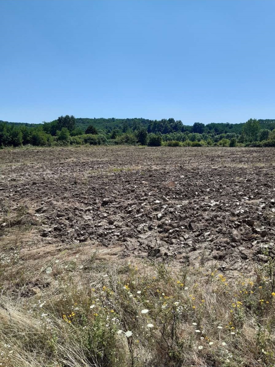 Poljoprivredno zemljiste njiva 3 7ha 2