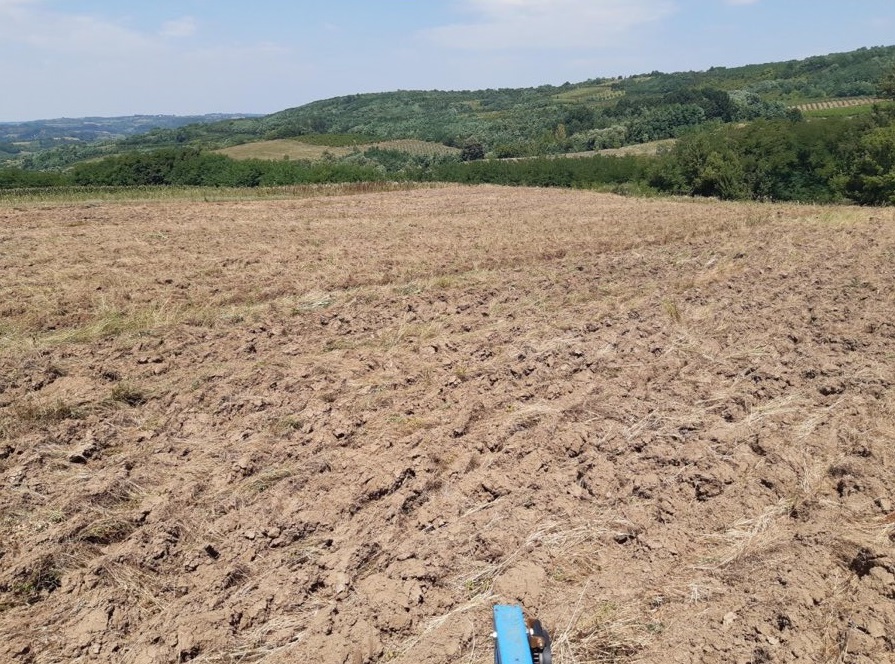 Poljoprivredno zemljiste njiva 3 7ha 4