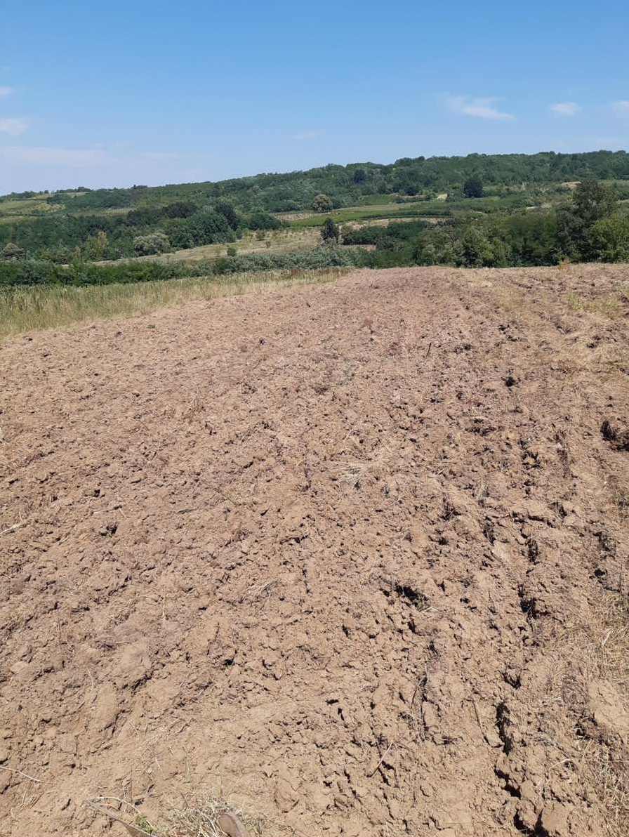 Poljoprivredno zemljiste njiva 3 7ha 5