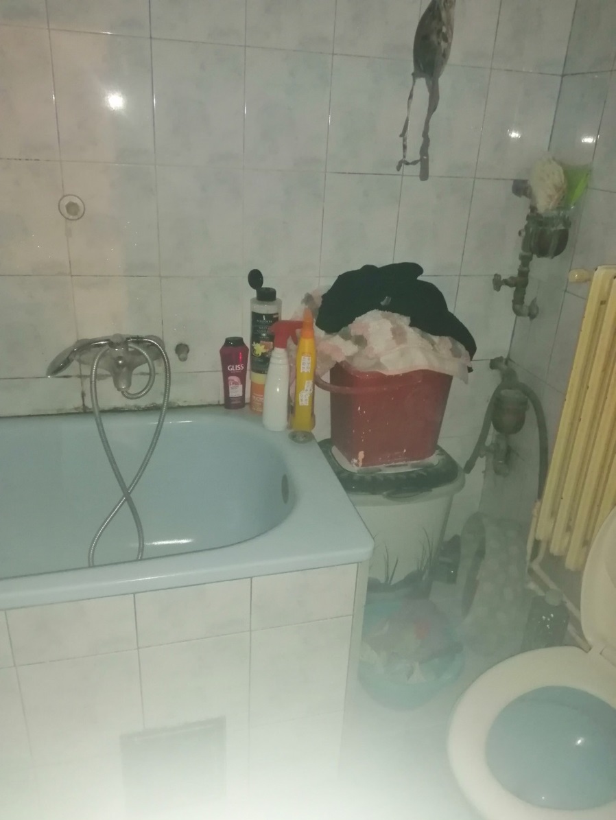 Garsonjera u Zemunu 4