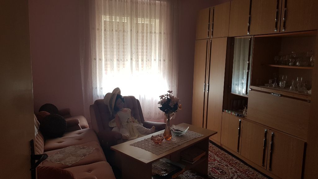 Porodicna kuca na 35km od Novog Sada 3