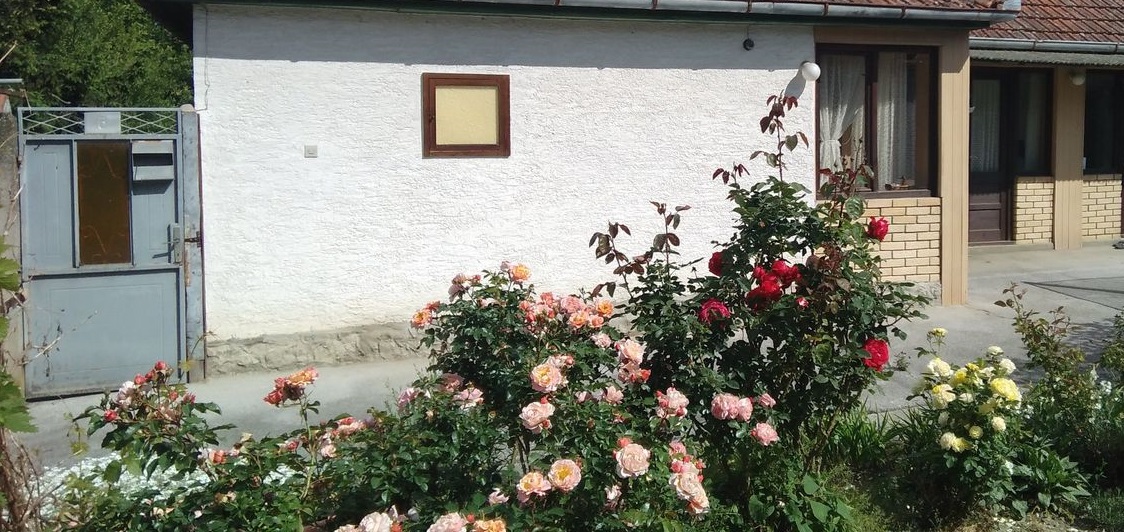 Porodicna kuca u Bezdanu 5