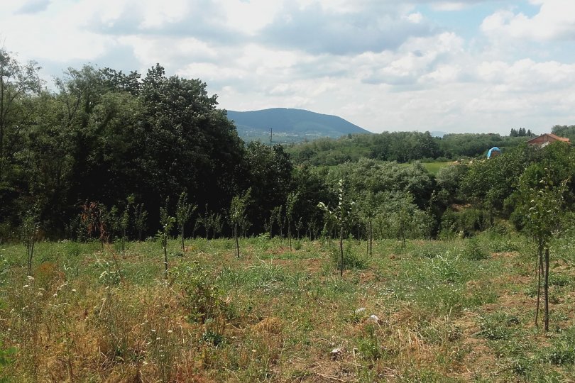 Prodajem plac 1ha i 10ari Babe Sopot 3