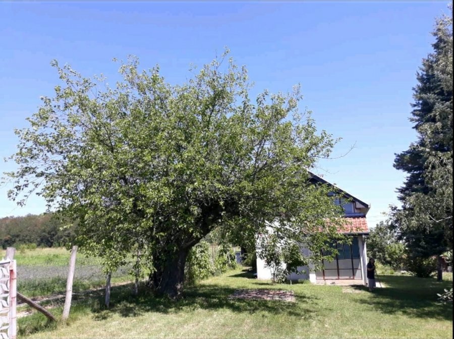 Prodaja kuce i placa na selu 1