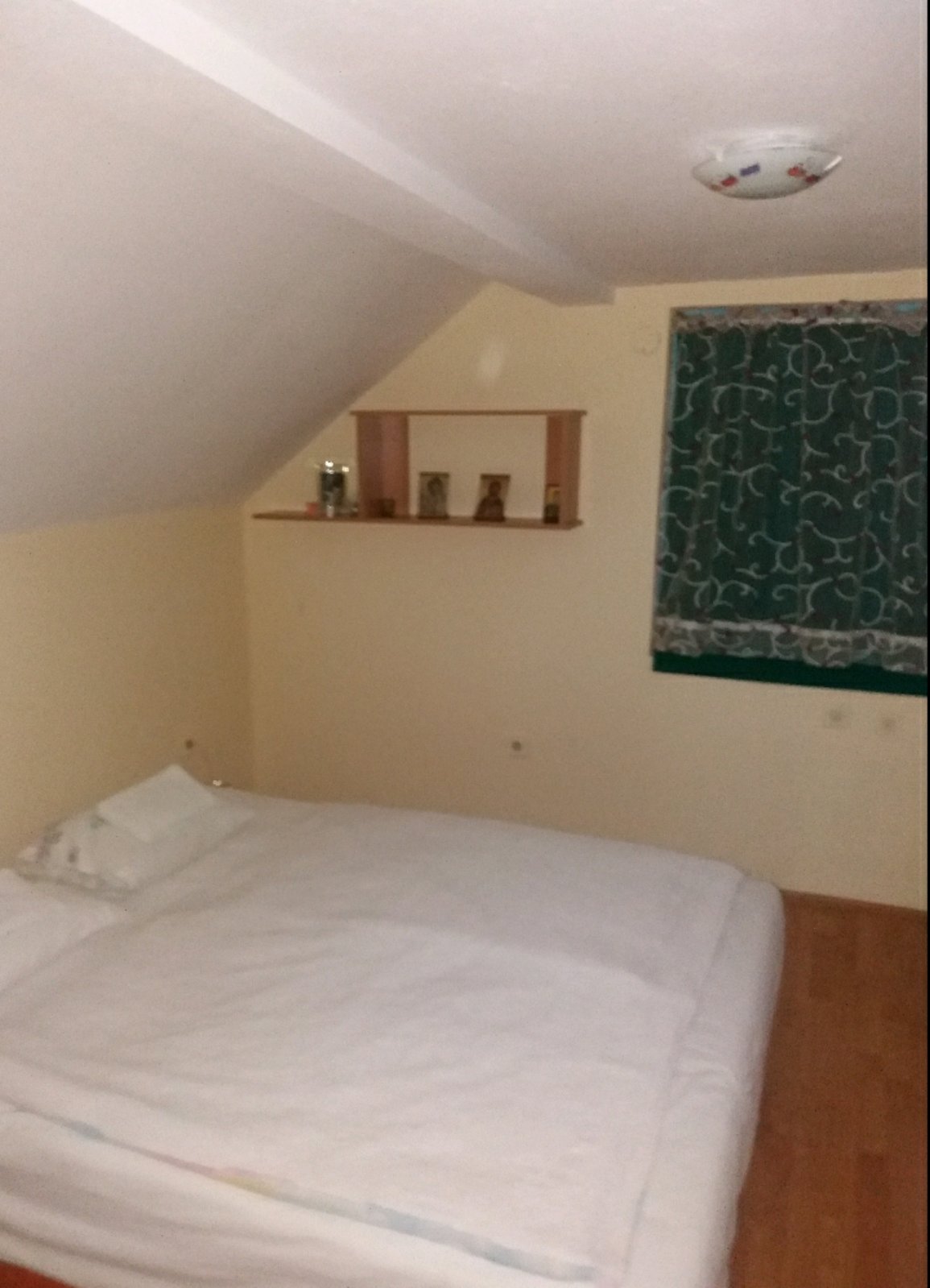 Prodaja kuce i placa na selu 5