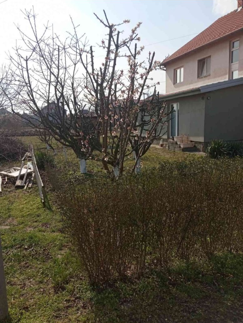 Prodaje se deo kuce sprat i potkrovlje 150m2 2