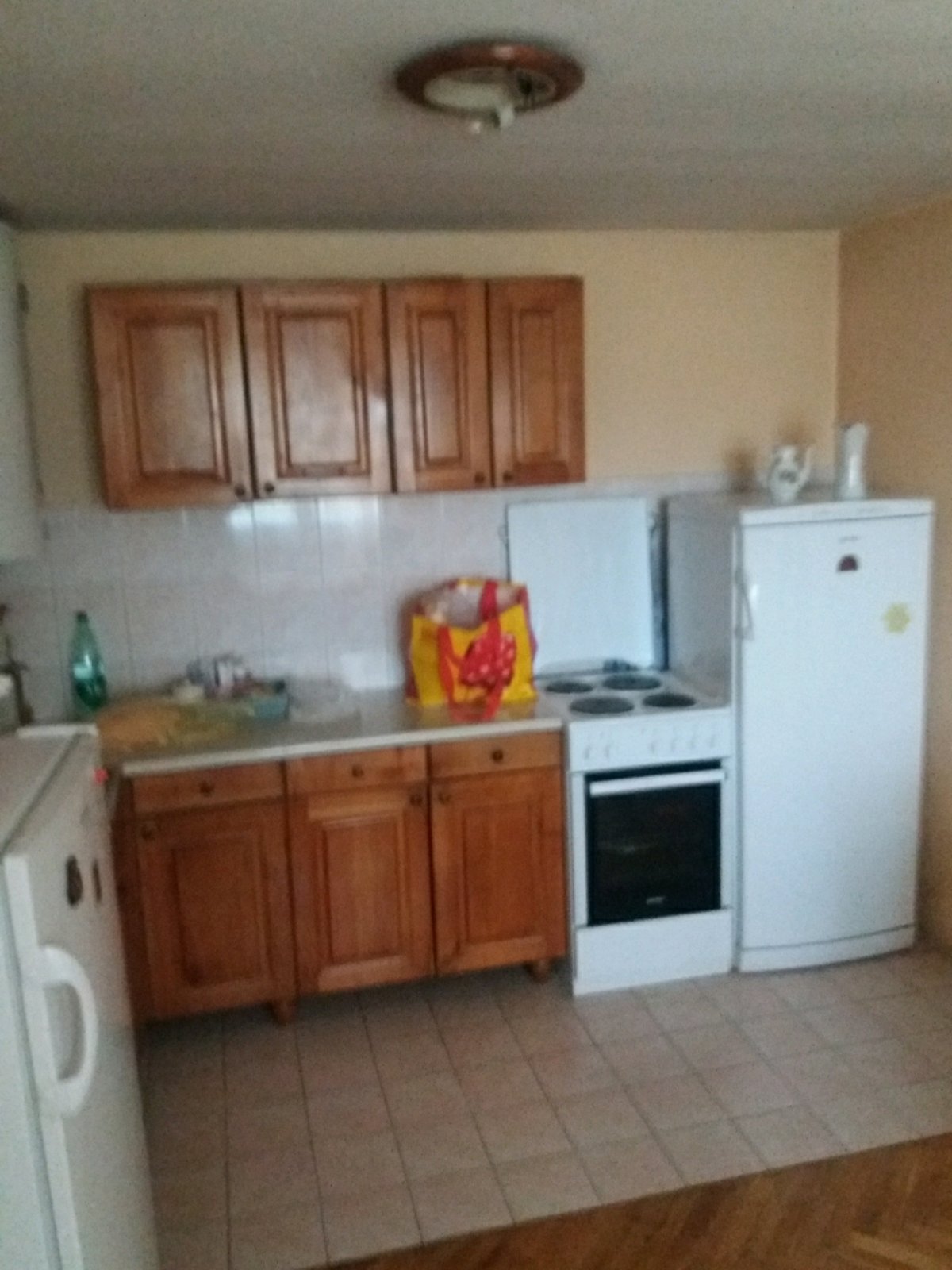 Prodaja kuce i placa na selu 2