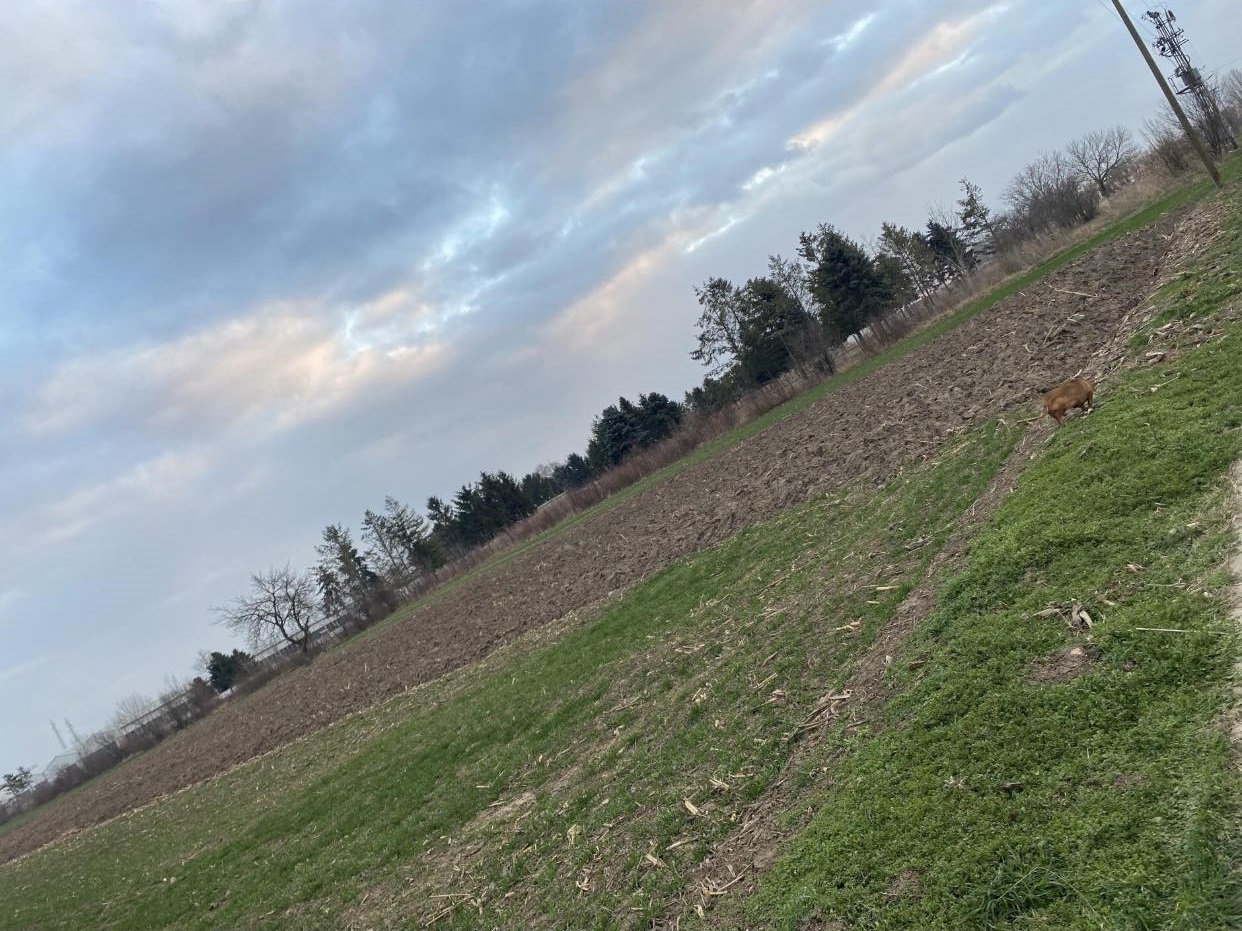 Zemljiste prve klase u industrijskoj zoni 1