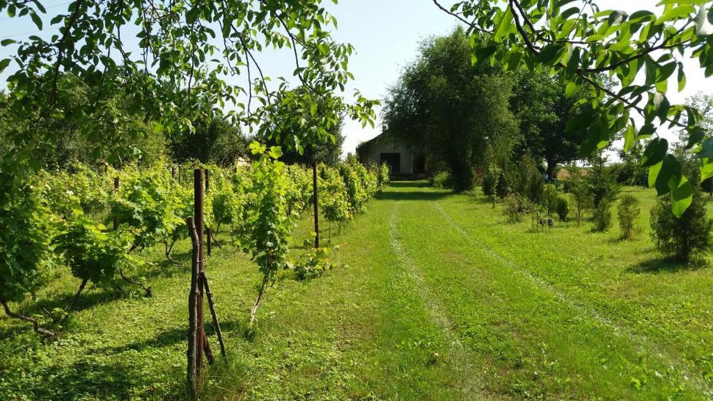 Perlez vikendica prodaja 50m2 i 43 ara placa 2