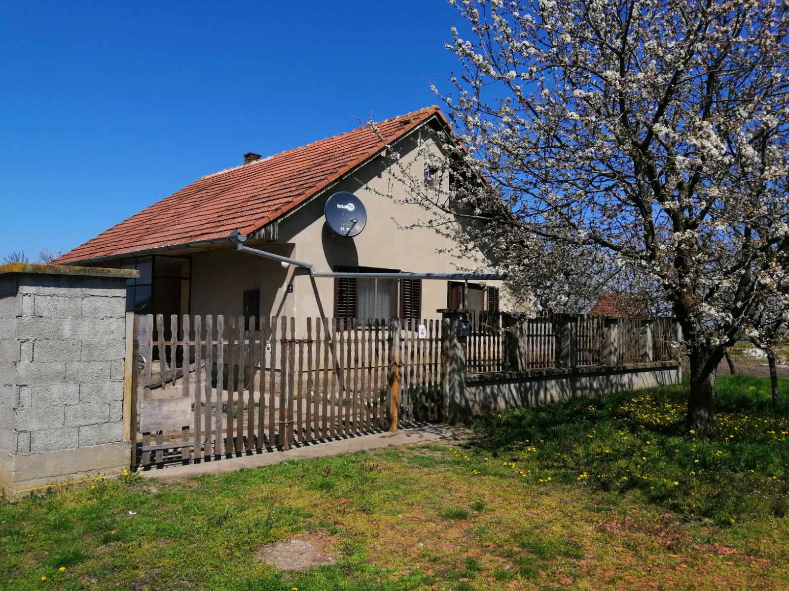 Prodajem kucu u Bocaru Novi Becej 1