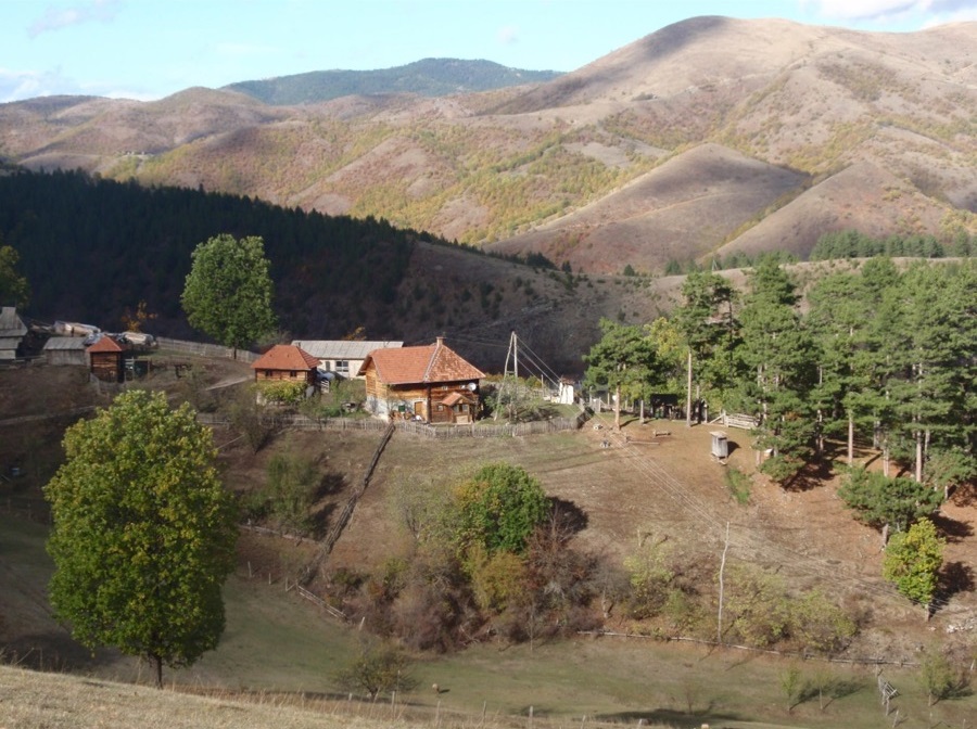 Prodaja kuce i okucnice 2