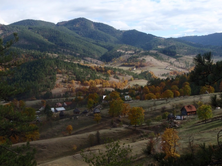 Prodaja kuce i okucnice 4