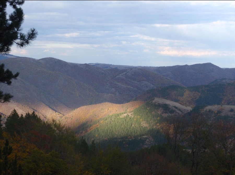 Prodaja kuce i okucnice 5