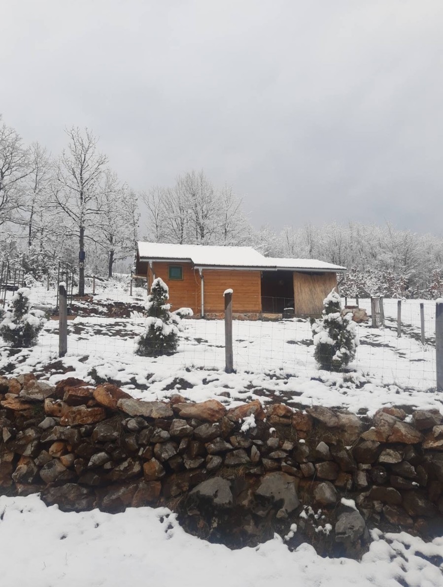 Kuca za odmor Zlatibor Rozanstvo 1