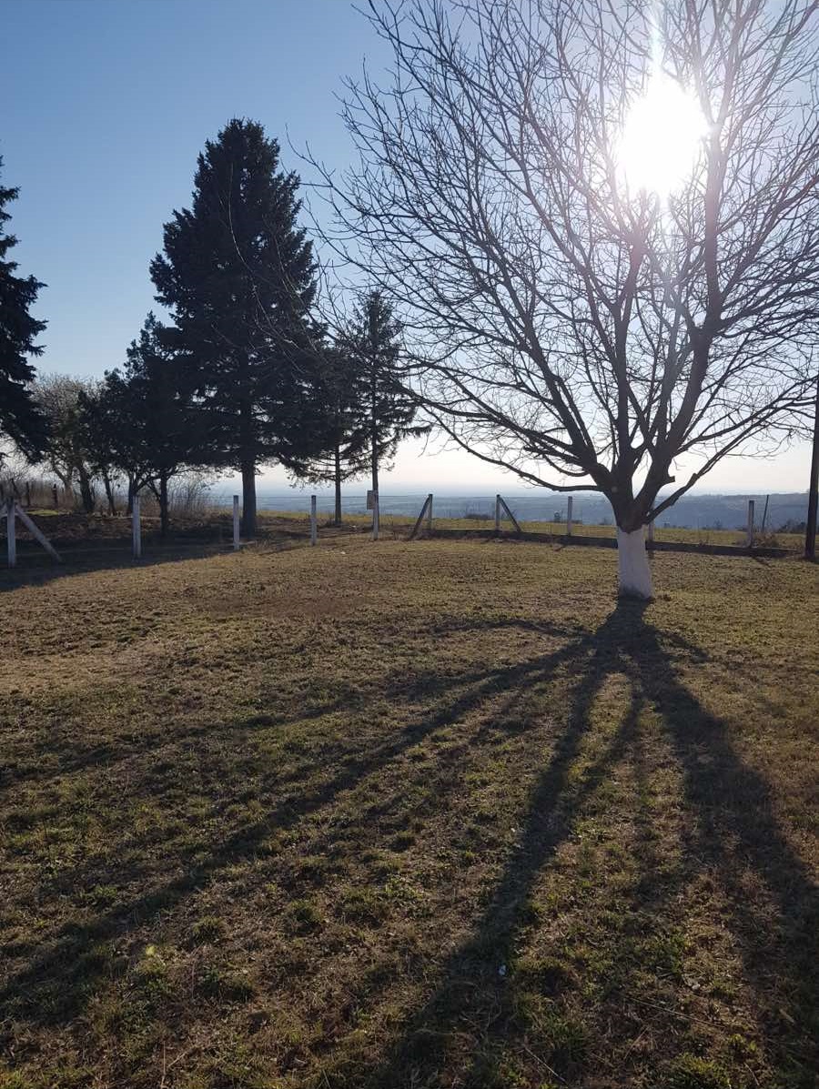 Kuca na prodaju Banja Vrdnik 163m2 i 21ar 3