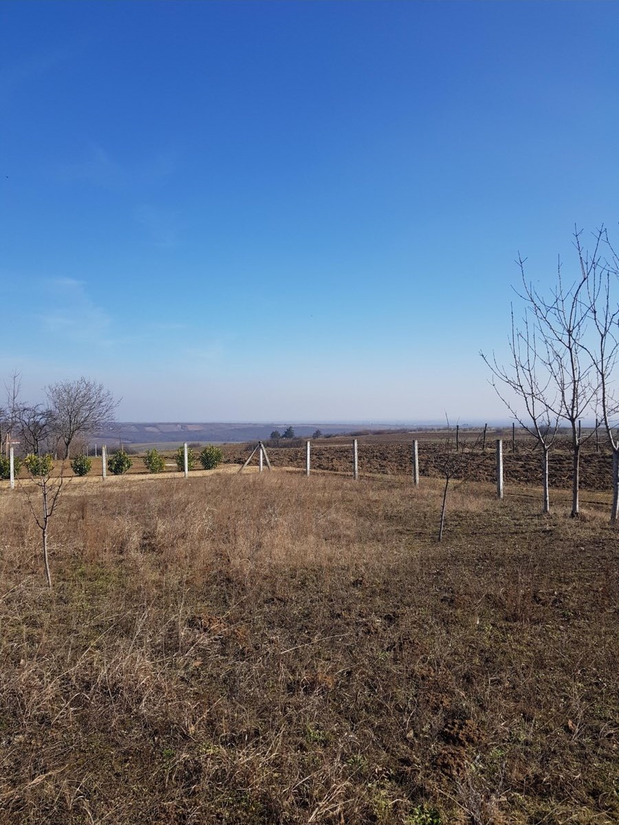 Kuca na prodaju Banja Vrdnik 163m2 i 21ar 4