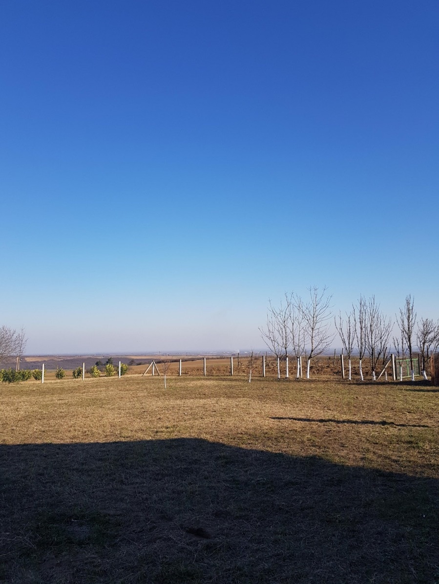 Kuca na prodaju Banja Vrdnik 163m2 i 21ar 5