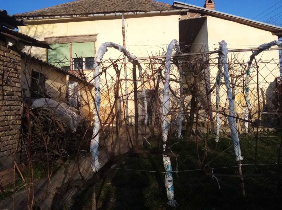 Kuca u centru Iriga 2