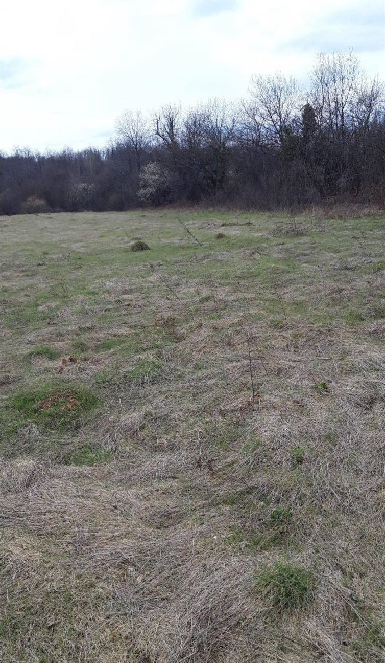 Prodajem placeve na Ravnoj Gori 2