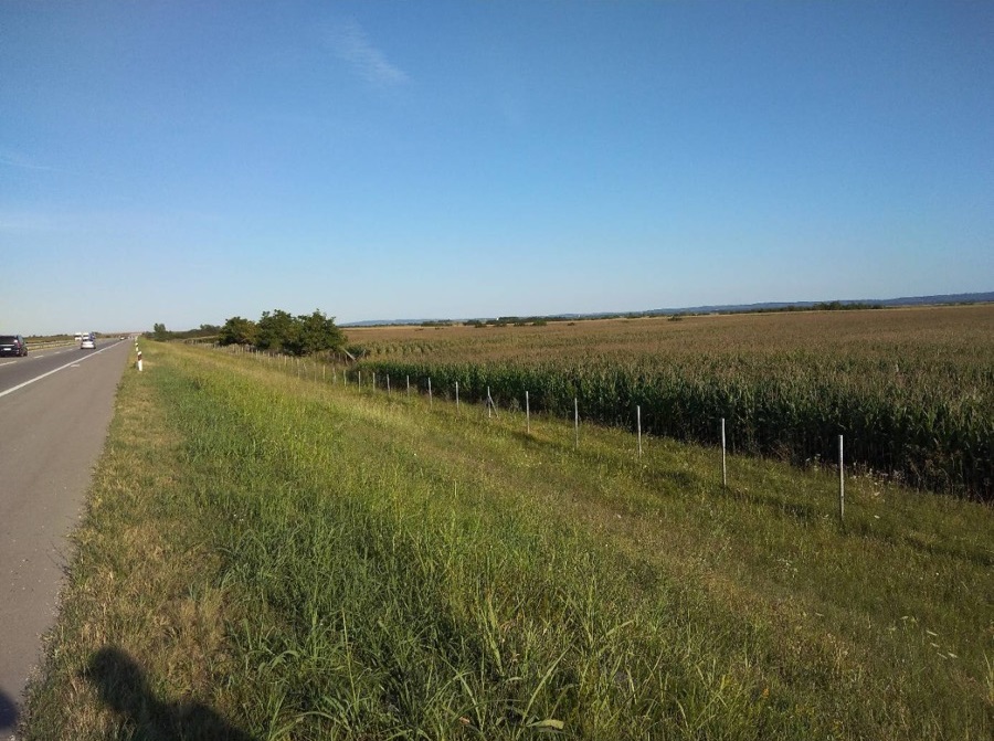 Parcela uz autoput BG 14498m2 2