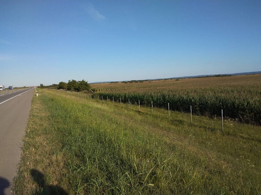 Parcela uz autoput BG 14498m2 4