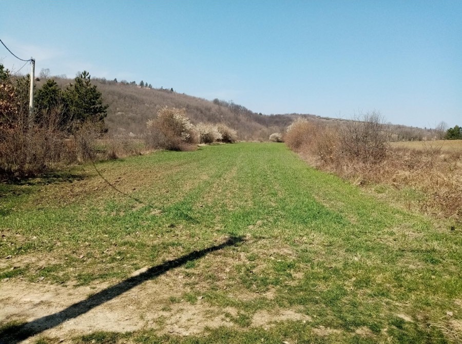 Plac 45 16ari Parcano Sopot uknjizen vlasnik 3