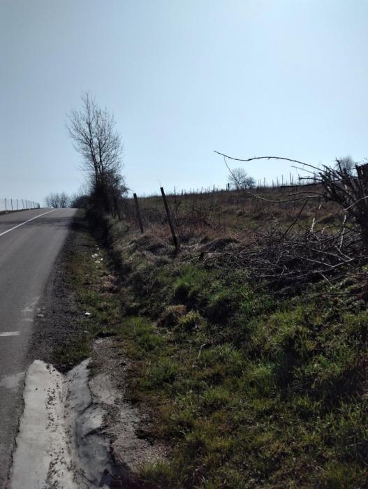 Prodaja zemljista Sepsin Mladenovac 7