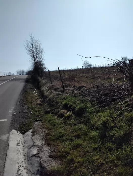 Prodaja zemljista Sepsin Mladenovac 