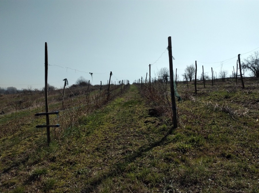 Prodaja zemljista Sepsin Mladenovac 5