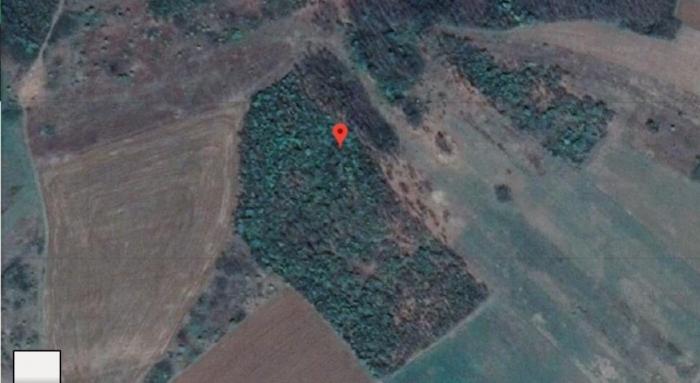 3ha i 34 ara kod Deligrad Aleksinac 6