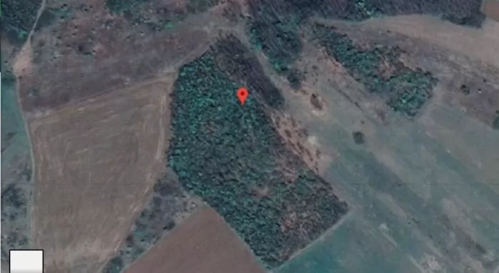 3ha i 34 ara kod Deligrad Aleksinac 