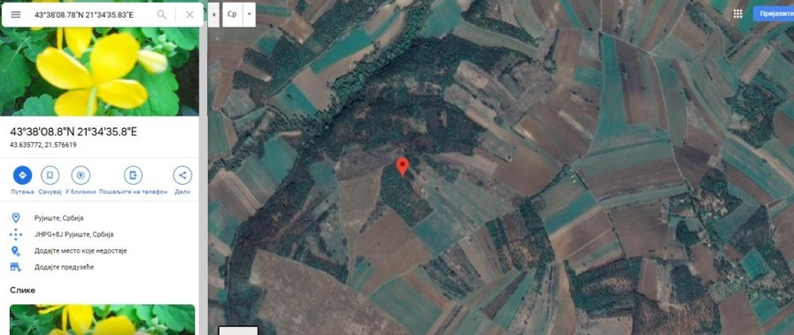 3ha i 34 ara kod Deligrad Aleksinac 3