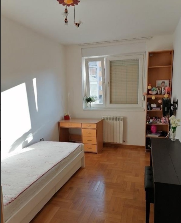 LUX 3 0 Suboticka uknjizen garaza vlasnik 5