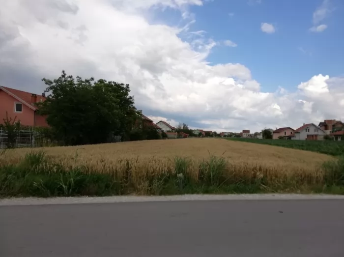 Prodajem plac 43 78ara u ul Popova Bara Nova 1 