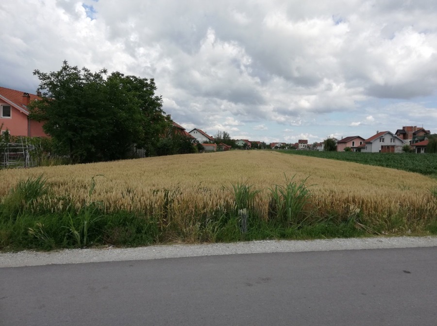 Prodajem plac 43 78ara u ul Popova Bara Nova 1 4