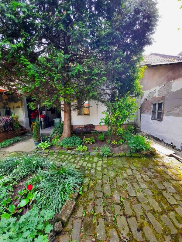 Prodajem kucu sa lokalom u centru Sombora na Vencu 5