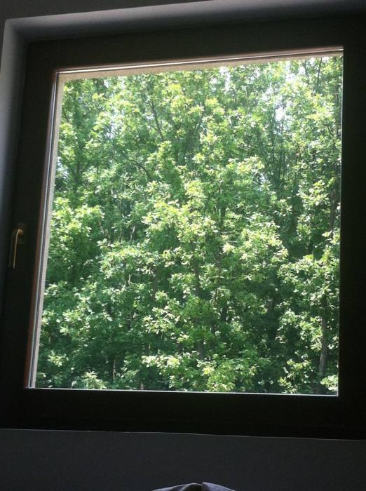 Izdajem nameštenu garsonjeru u Kraljevu 3