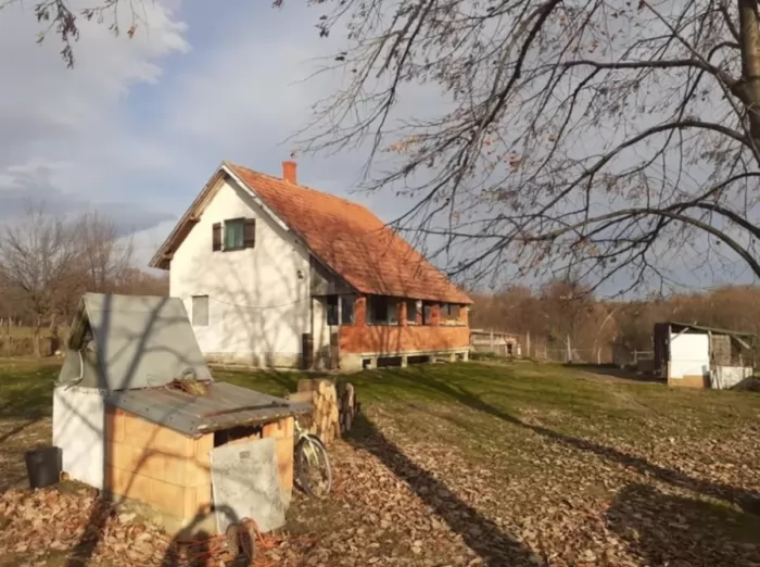Prodajem kucu 70m2 i 62 ara okucnice u Barzilovici Lazaravac 