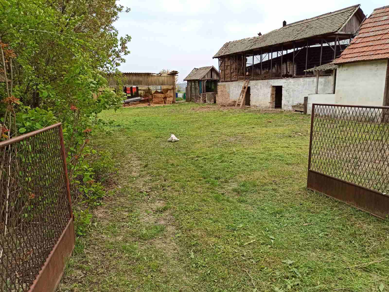 Prodajem kucu u Titelu 5