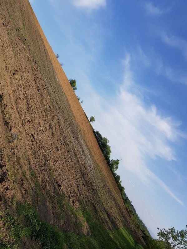 Zemljiste nigde jeftinije 3