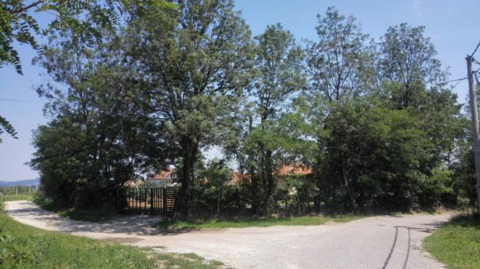 Kosmaj Koracica vikendica sa zasadom lesnika 7