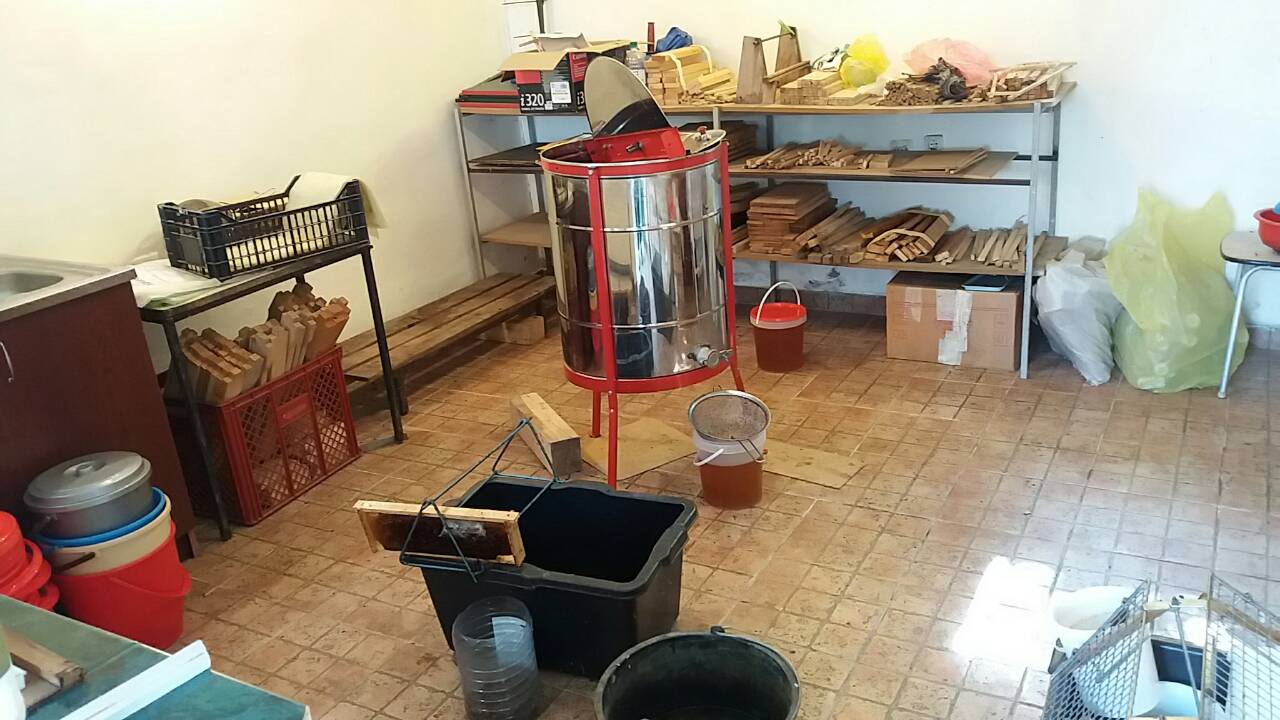 Atraktivna kuca u Curugu 5