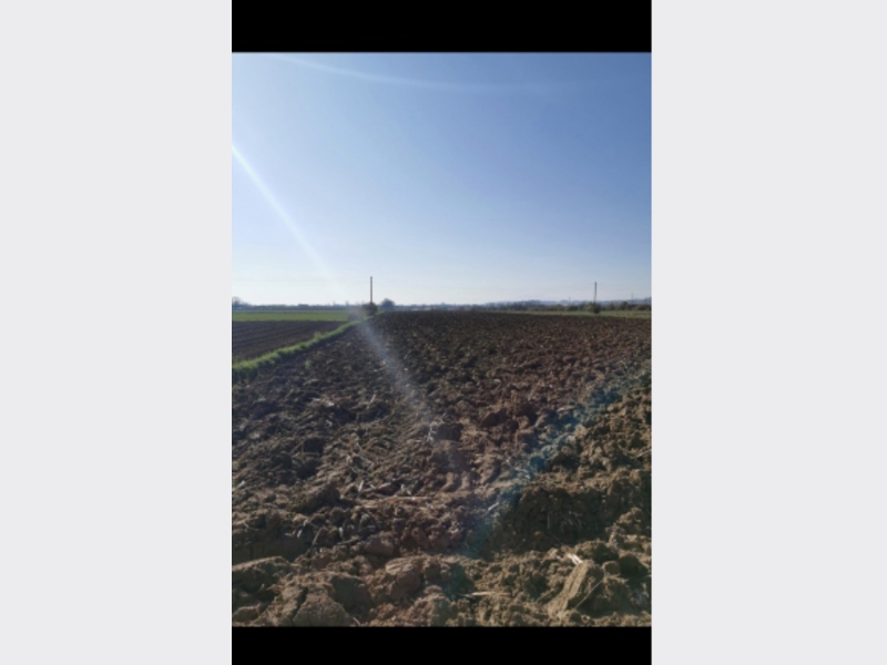 Plac okolina Cacka HITNO 2