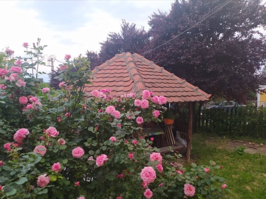 Prodajem kucu Umka 5