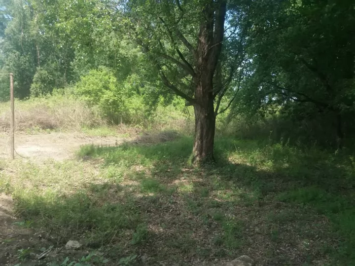 Plac na Dunavu 27ari 