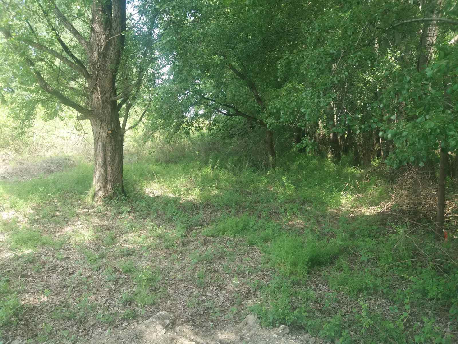 Plac na Dunavu 27ari 2