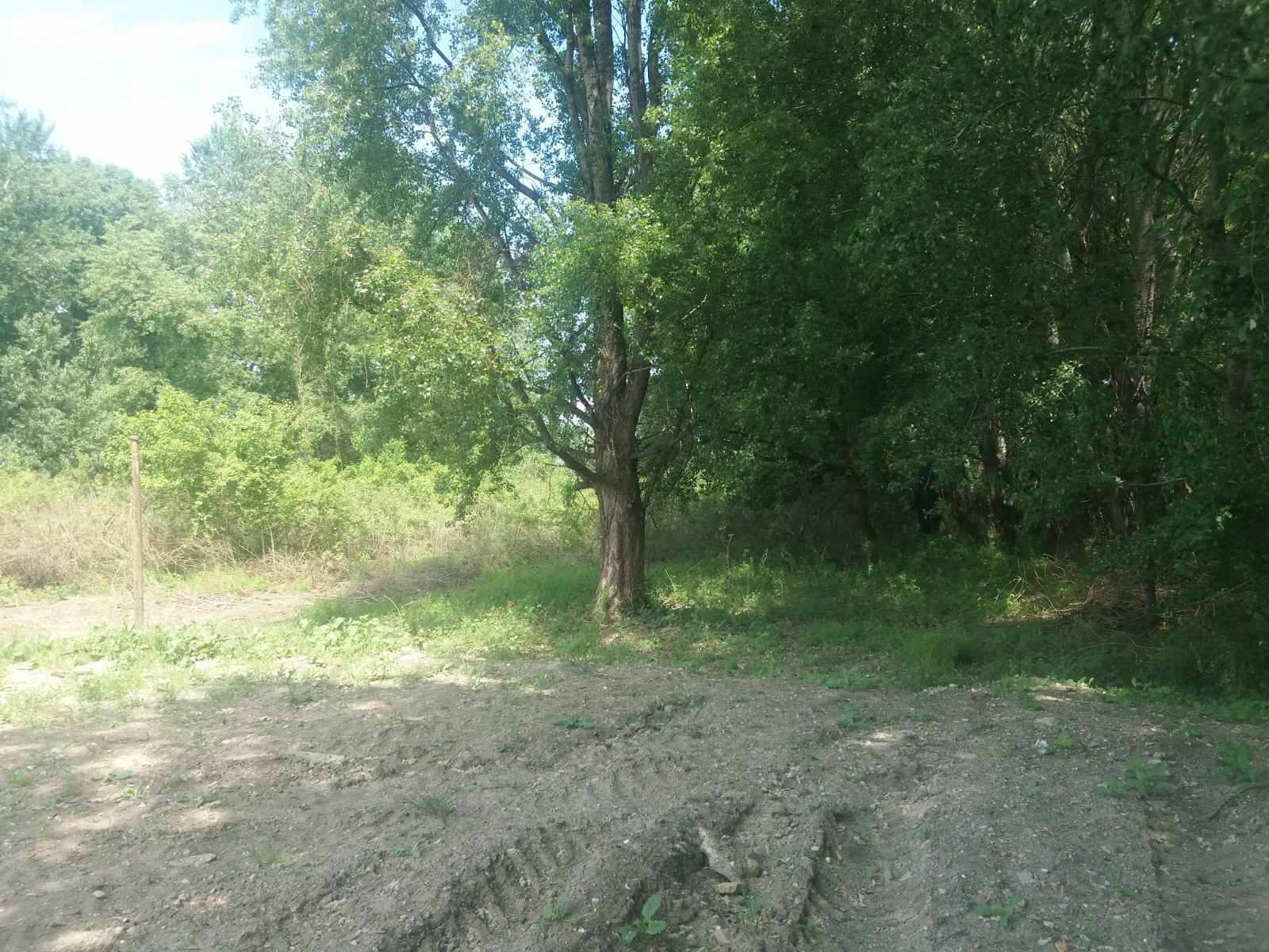 Plac na Dunavu 27ari 3