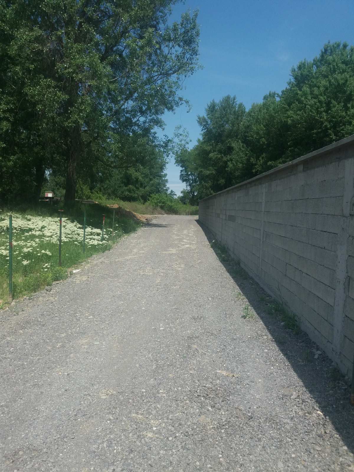 Plac na Dunavu 27ari 5